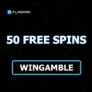 50 фриспинов для новых игроков в FLAGMAN Casino
